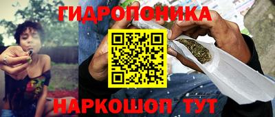 гидра Гай