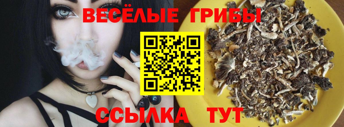 Псилоцибиновые грибы GOLDEN TEACHER Можайск